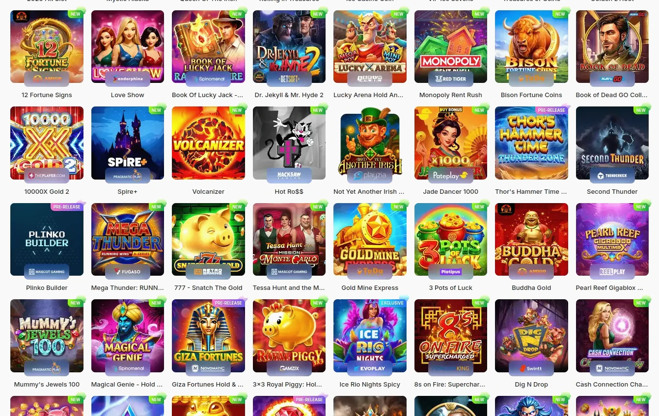 Bison Casino privacybeleid en gegevensbescherming